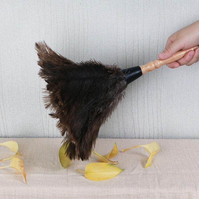 Ostrich Feather Duster - Duster - Femboy Fatale
