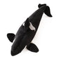 Kawaii Orca Plush