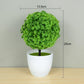 Bonsai Tree / Artificial Plant Collection - Additional Style 4 Artificial Plant - Femboy Fatale