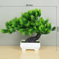 Bonsai Tree / Artificial Plant Collection - Additional Style 8 Artificial Plant - Femboy Fatale