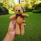 Stuffed Bear Plush - Brown Plush - Femboy Fatale