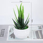 Bonsai Tree / Artificial Plant Collection - Aloe Artificial Plant - Femboy Fatale